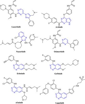 A Review on Fused Pyrimidine Systems as EGFR Inhibitors and Their Structure–Activity Relationship